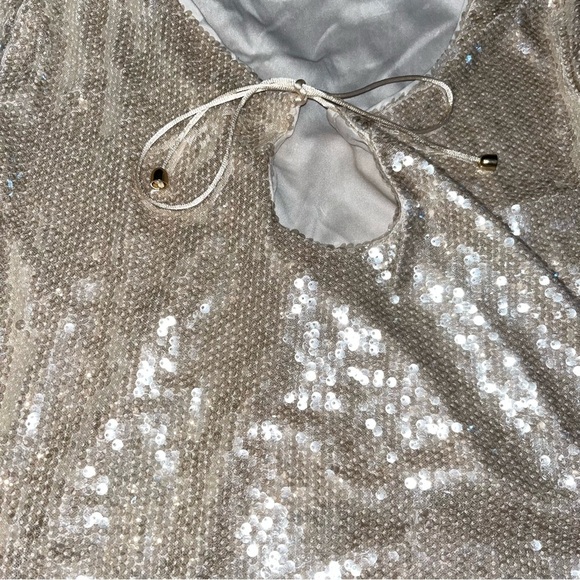 Wild Fable Champagne Sequins Top - Picture 3 of 4